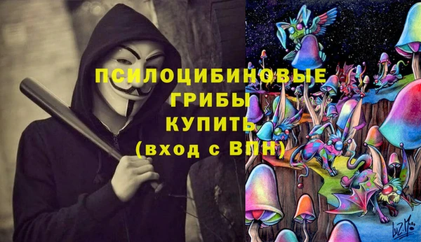 таблы Сосновка