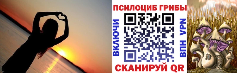 Галлюциногенные грибы MAGIC MUSHROOMS как найти закладки Касли